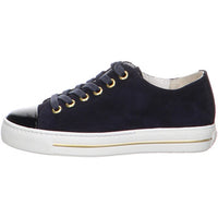 Paul Green Suede Navy Sneaker with Gold Stripe 4977-005